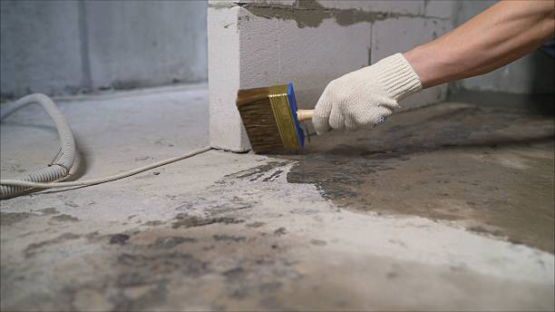 SJ Waterproofing Pros Waterproofing coverage map for Francesville, IN and surrounding area